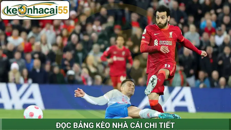 Đọc bảng kèo nhà cái chi tiết