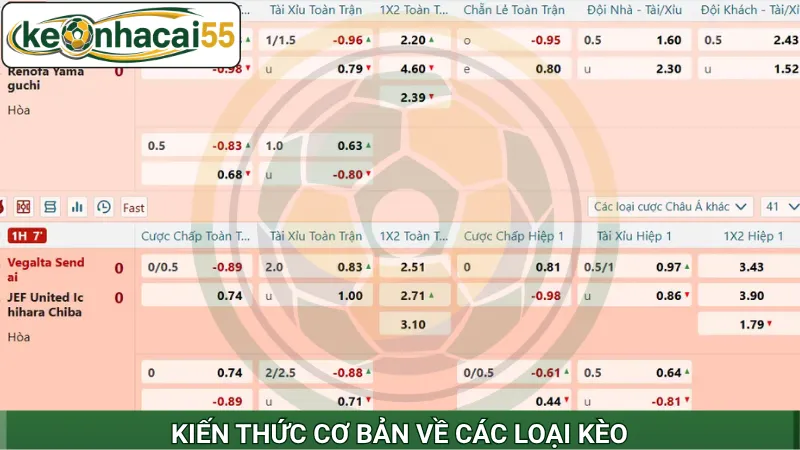 Kiến thức cơ bản về các loại kèo