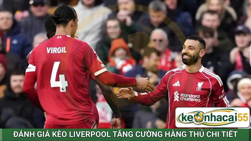 Đánh giá kèo Liverpool tăng cường hàng thủ chi tiết
