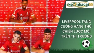 Liverpool Tăng Cường Hàng Thủ: Chiến Lược Mới Trên Thị Trường